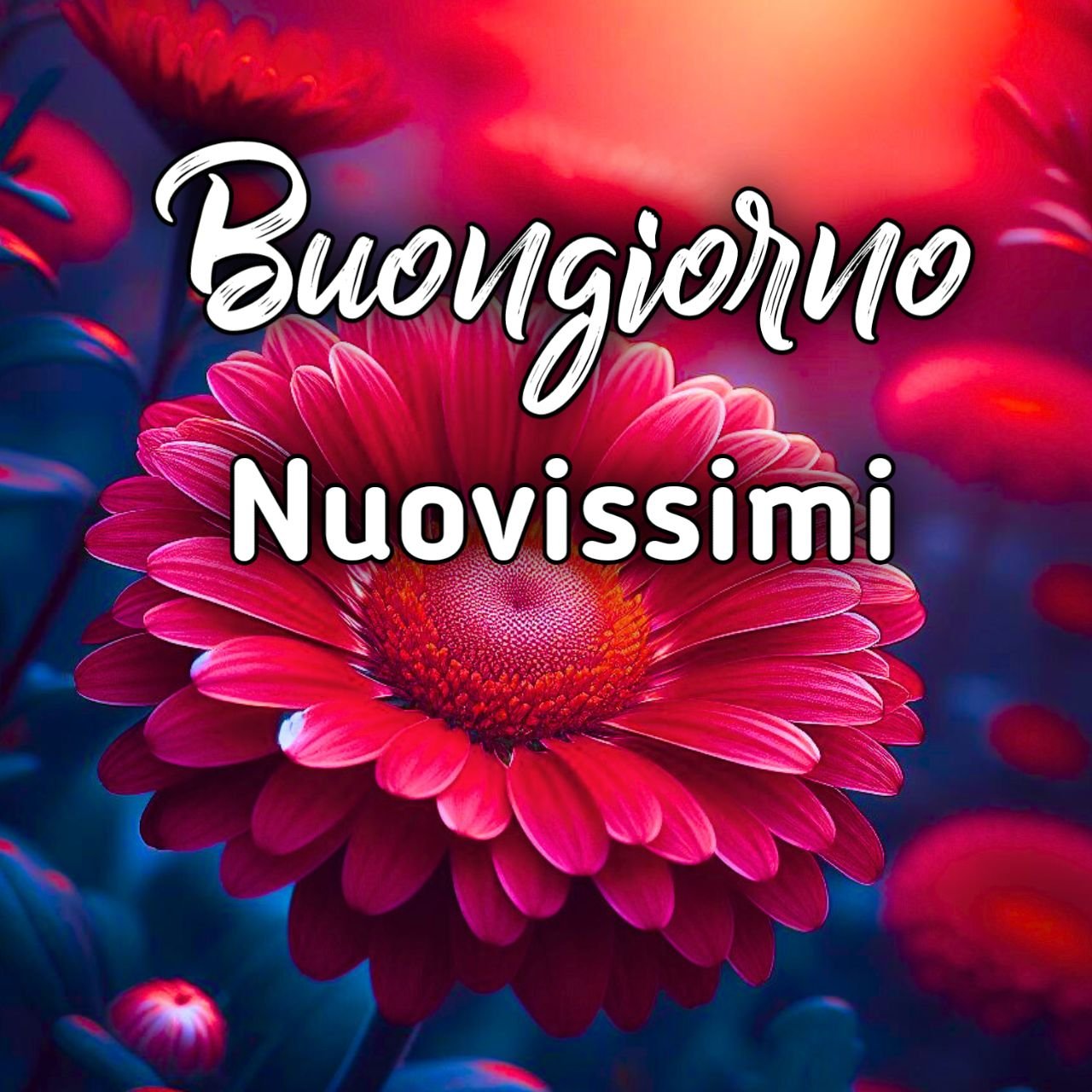 Buongiorno Nuovissimi Immagini Gif Gratis 2024